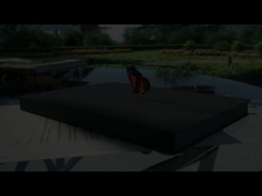 Fadior Phòng bếp khiêu vũ